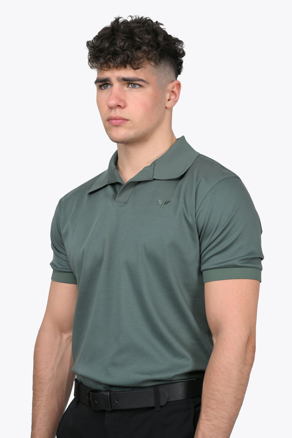 LORENZO PIMA COTTON POLO in Green